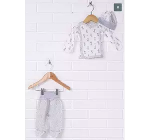 Костюм (кофта, ползунки, шапочка) Костюм (кофта, ползунки, шапочка)